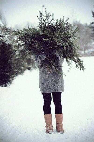 Погода в доме