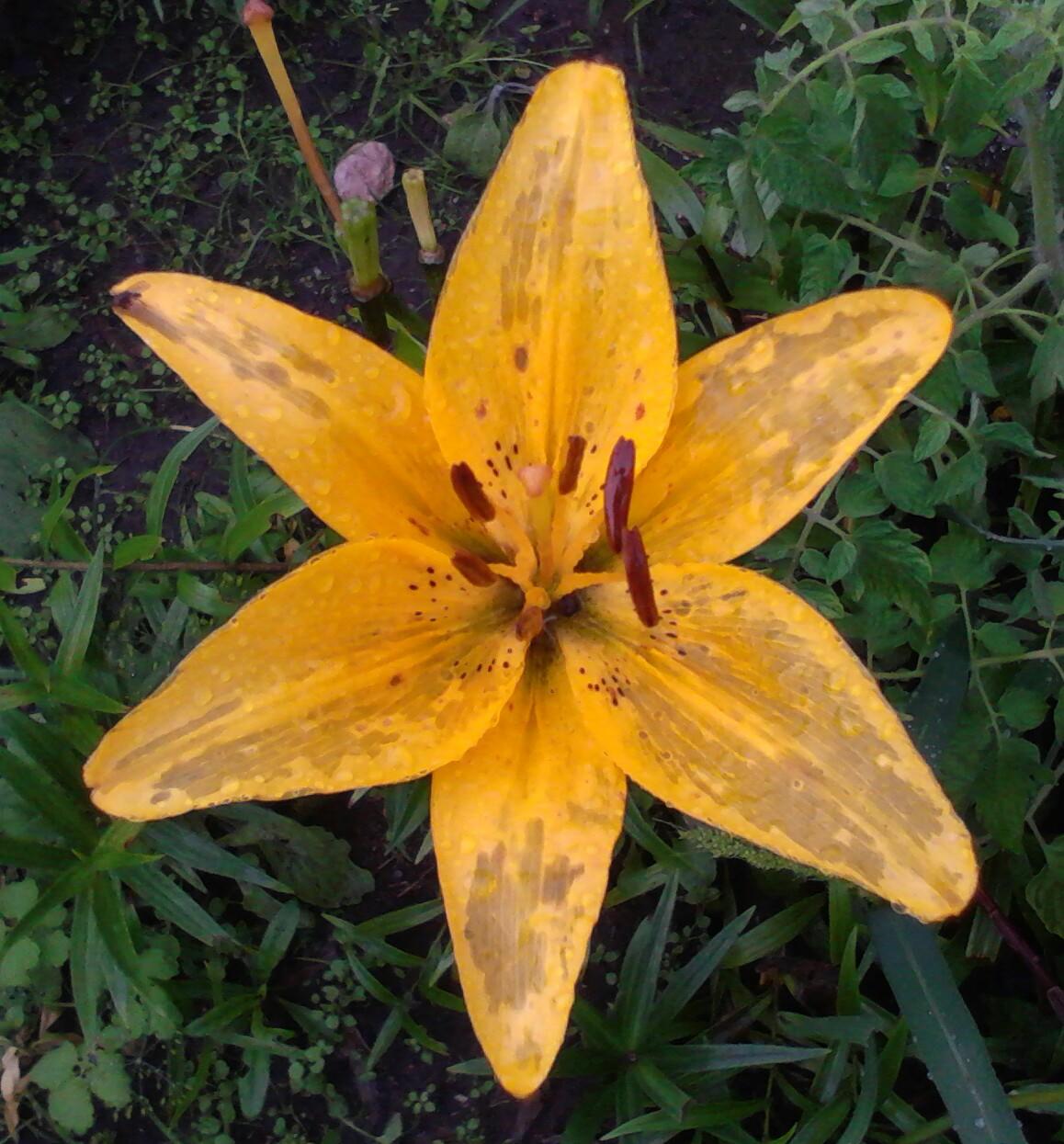 На послезавтра