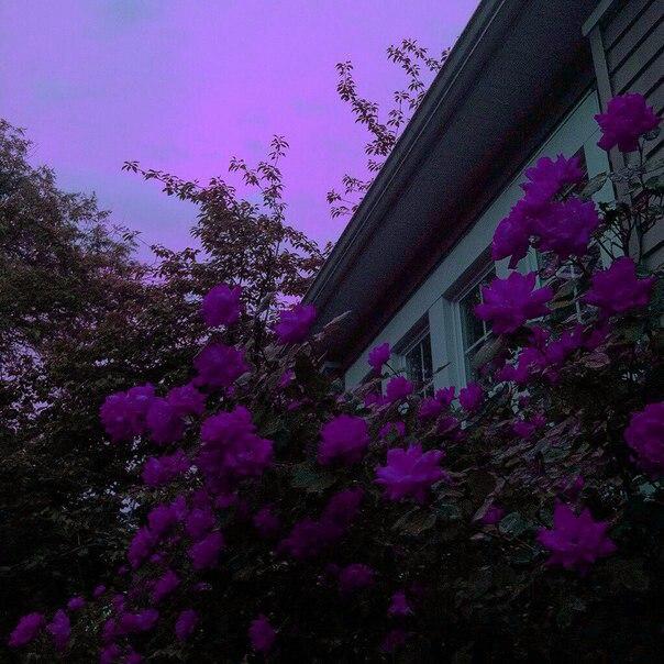 Дарога да перамогі..