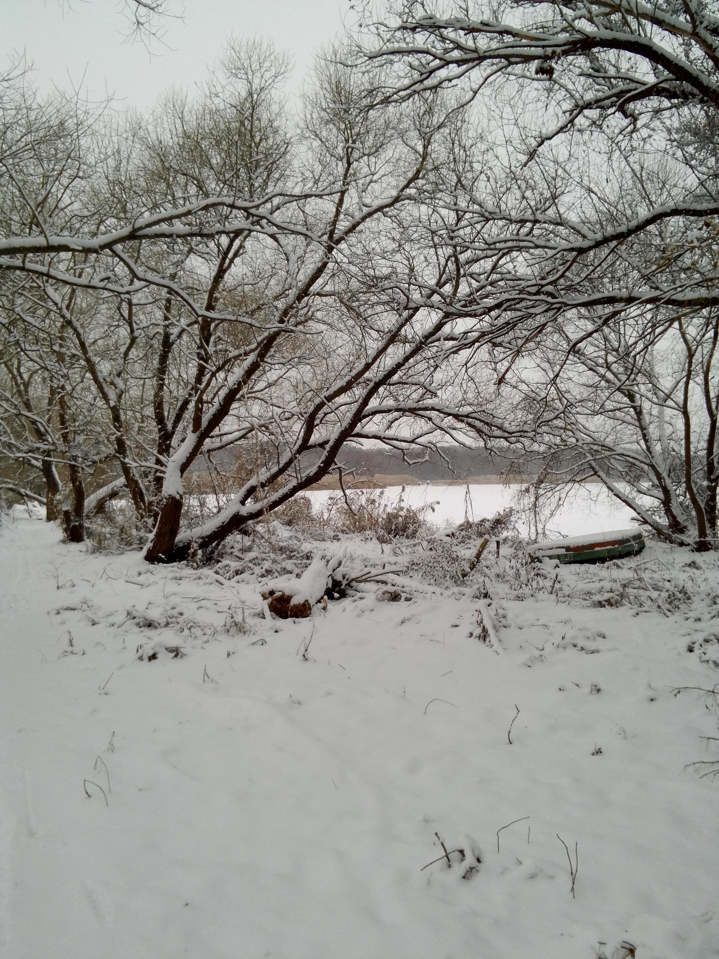 Снег . 30 лет вместе .