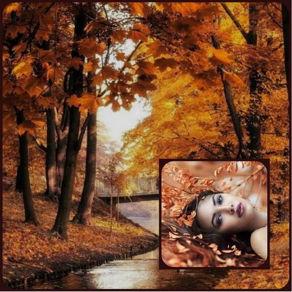 Кленовый лист ...