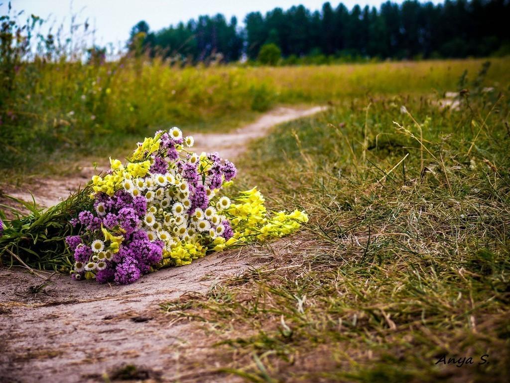 Позови меня