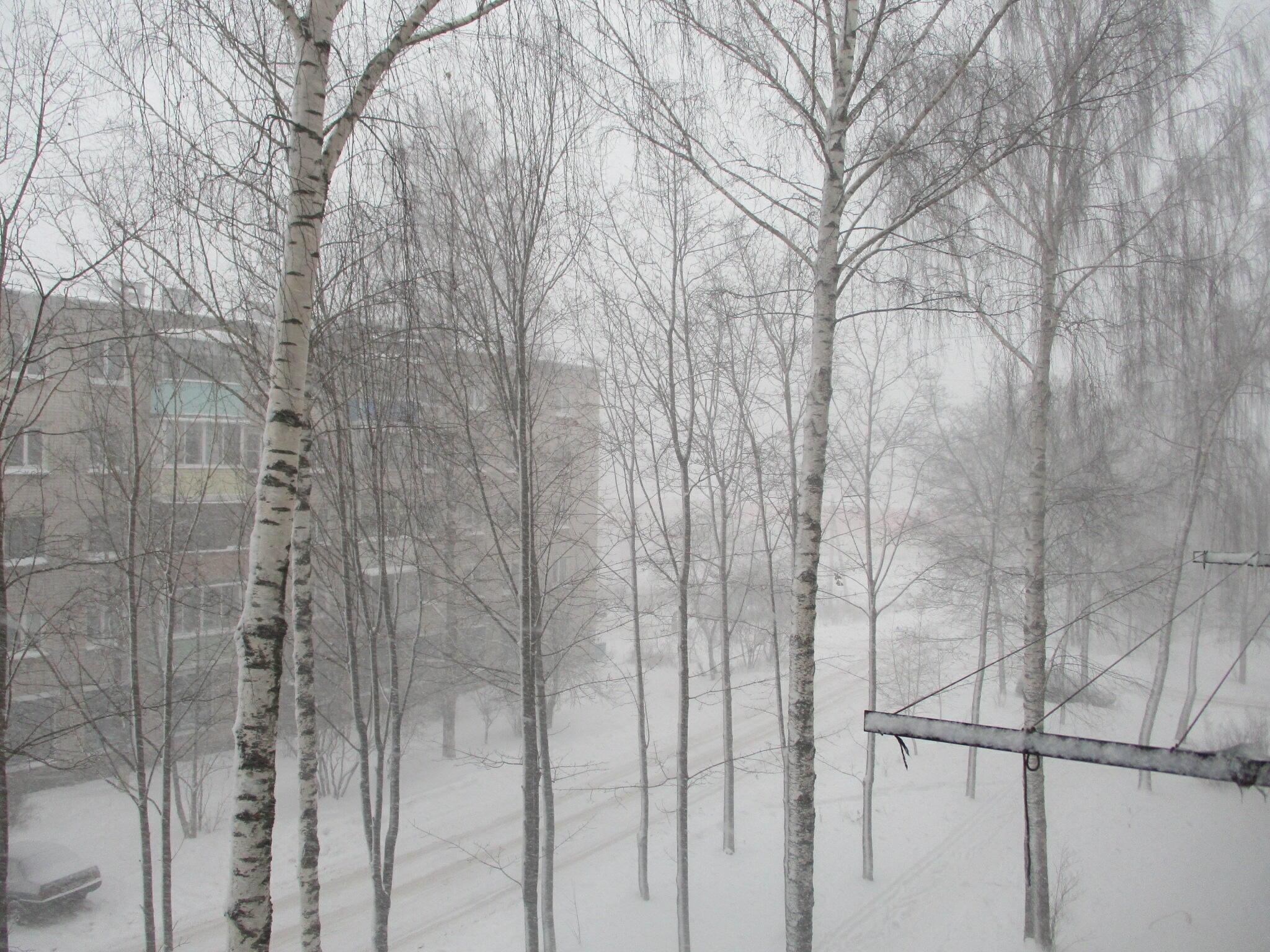 Снег и город