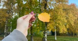 Один из сотен