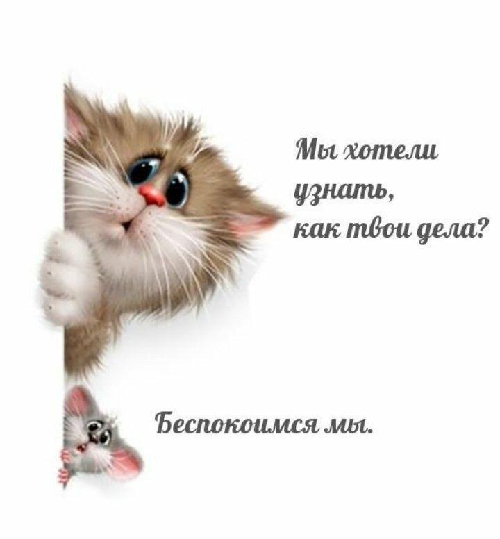 Как не выходной так новый парнишка в сетях Как не выходной так новый парнишка в сетях