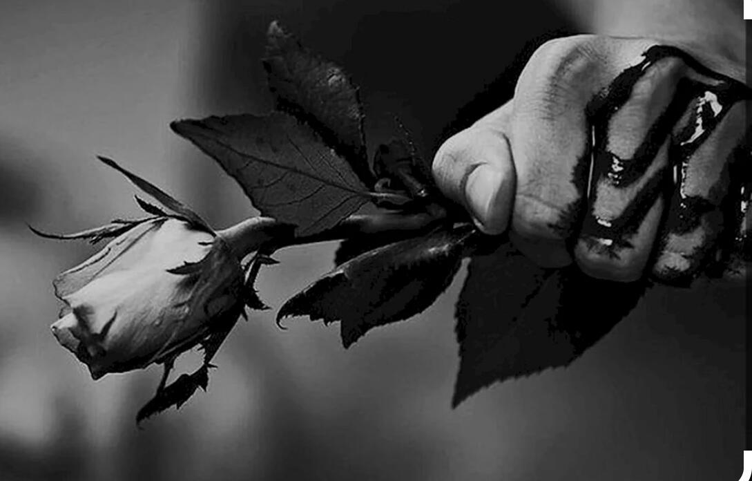 Я простил тебе всё