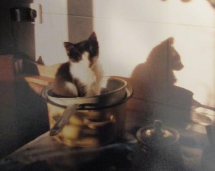 И как тебя зовут