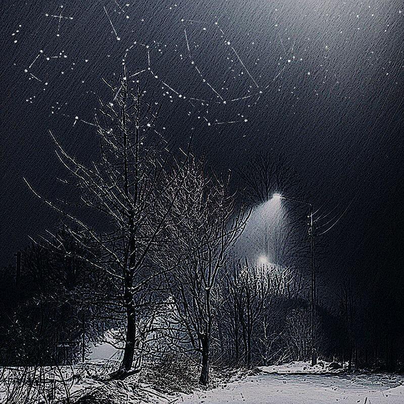 Февраль умеет расцветать...