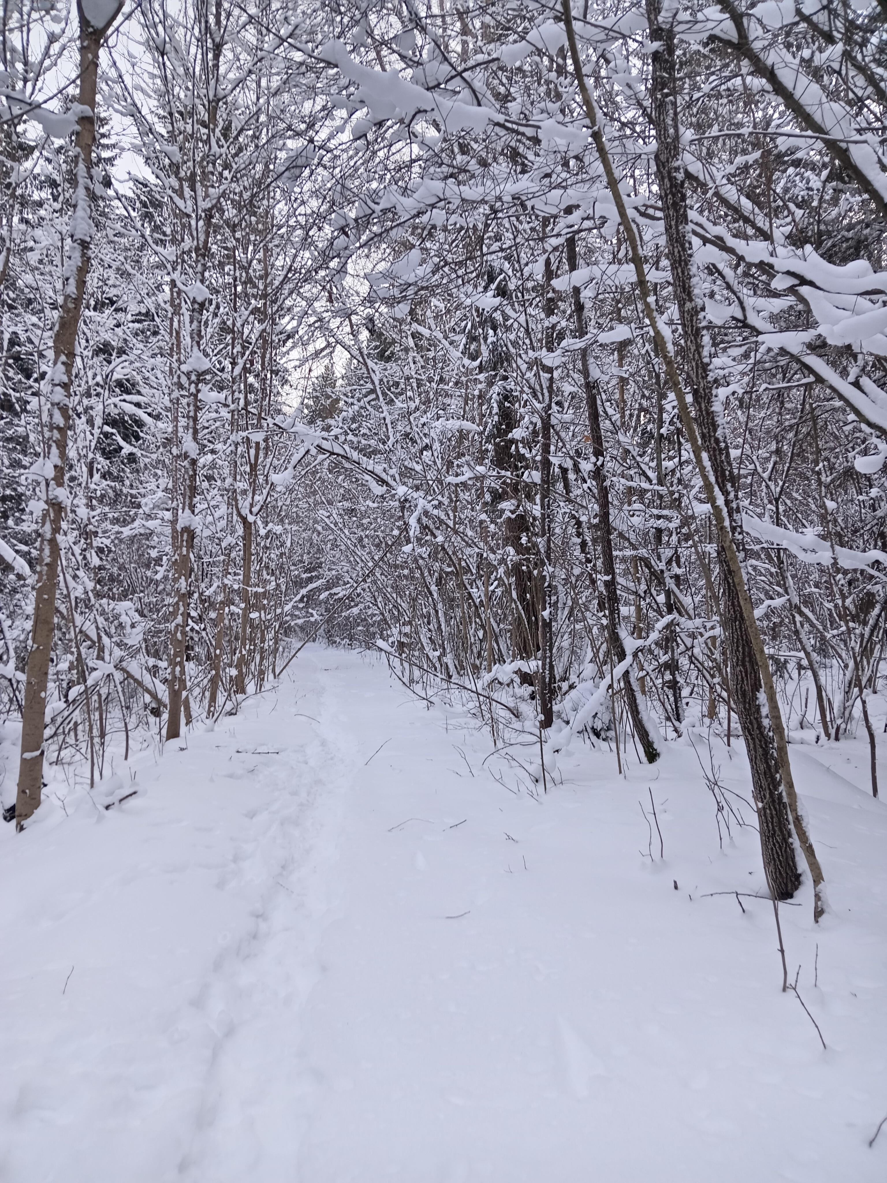 Предчувствие 