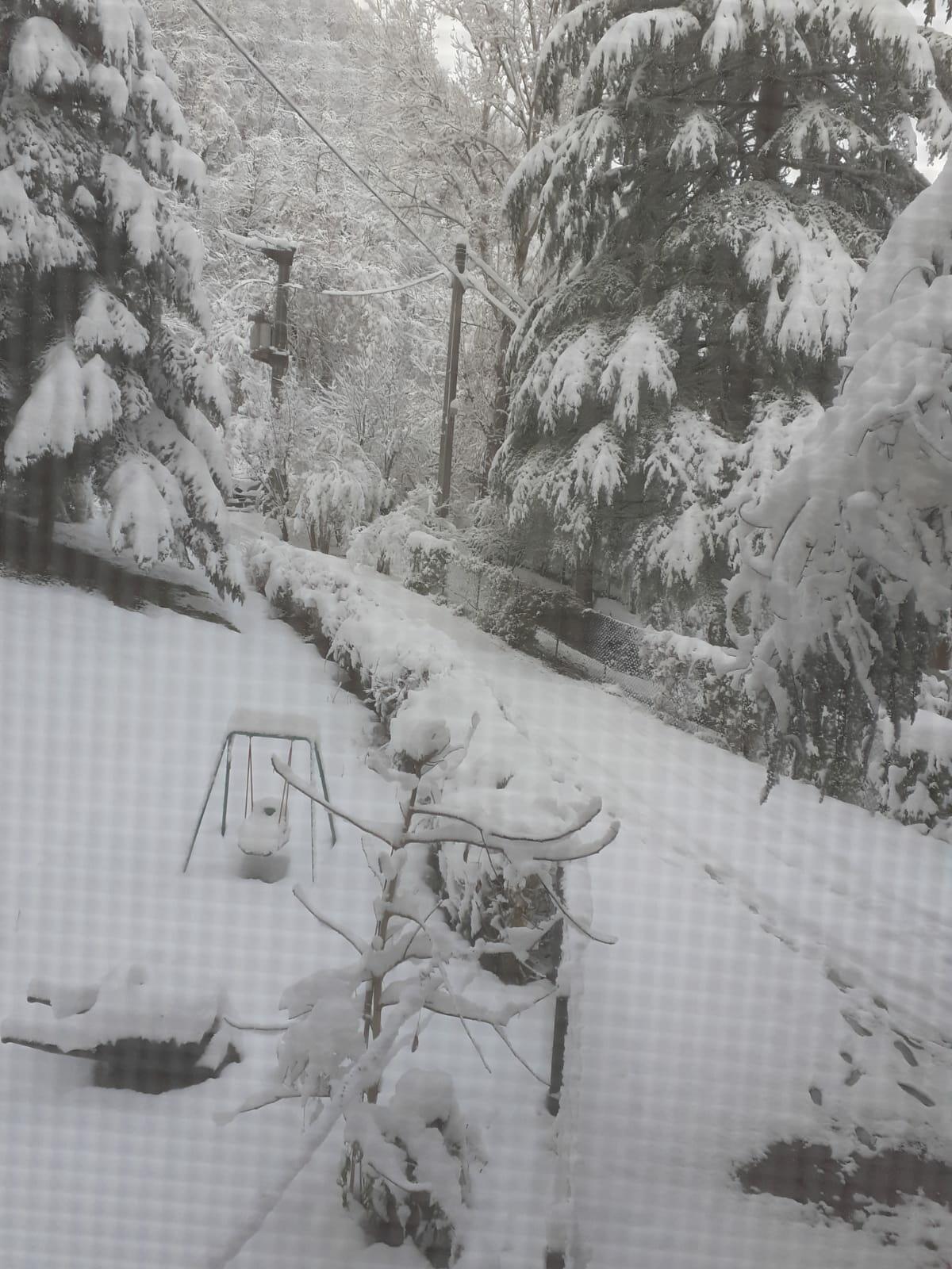 Зимний гамбит (не успевшее в конкурс)