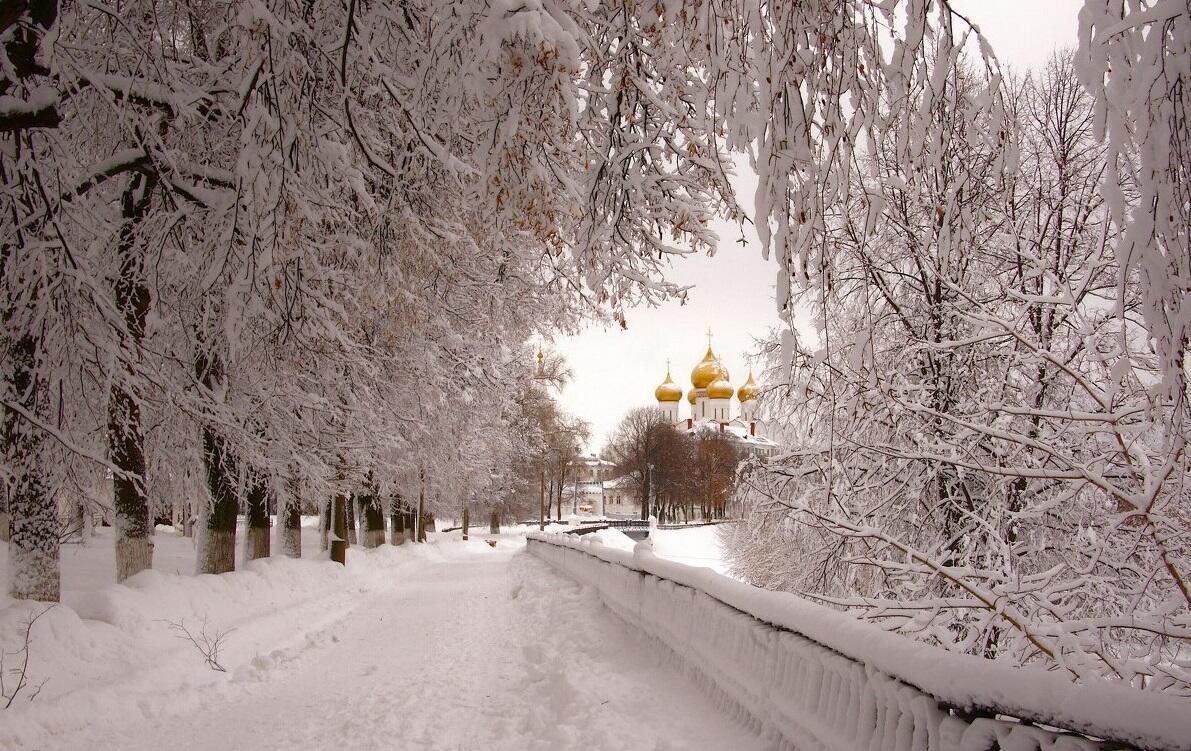 "Дорогой белой..." (26.12.2019)