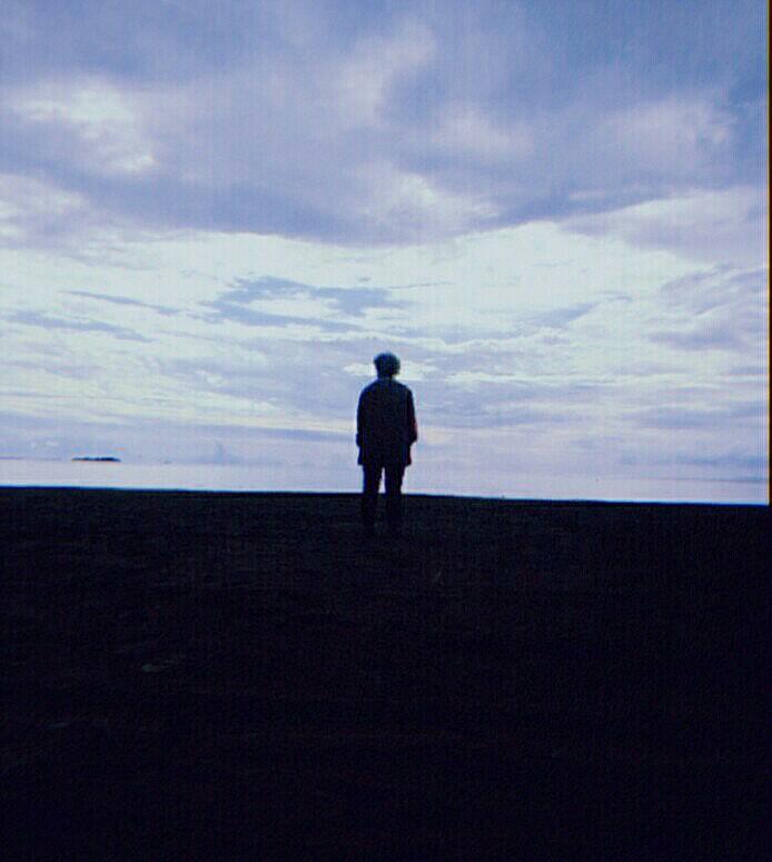 ~ Чайки над Финским заливом ~