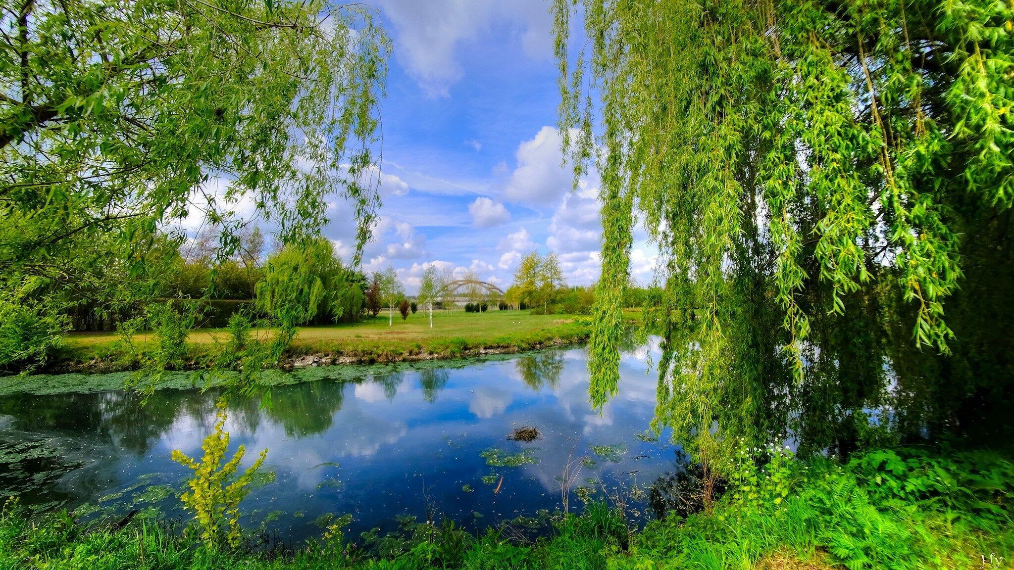 РЕКА  С  ПРОЗРАЧНОСТЬЮ  ДО  ДНА