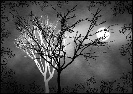 Познакомьтесь с собой