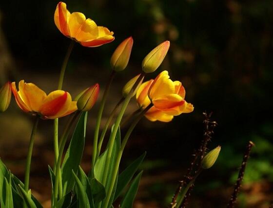 Как одиноко, больно вдруг – мне показалось…