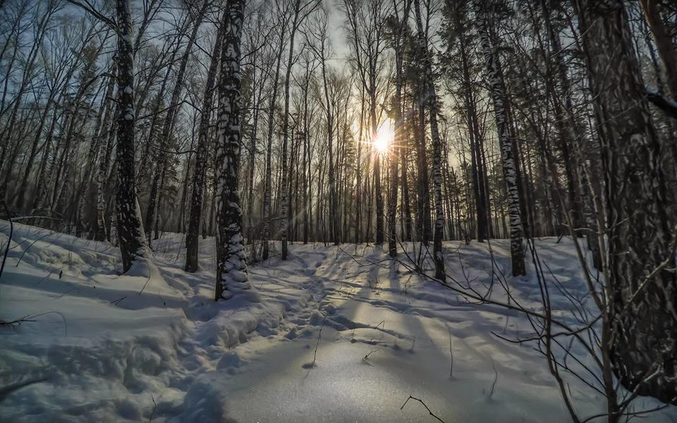 В траву снежинки упадут
