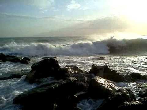 НЕ ЛЮБИТ ПОКОЯ