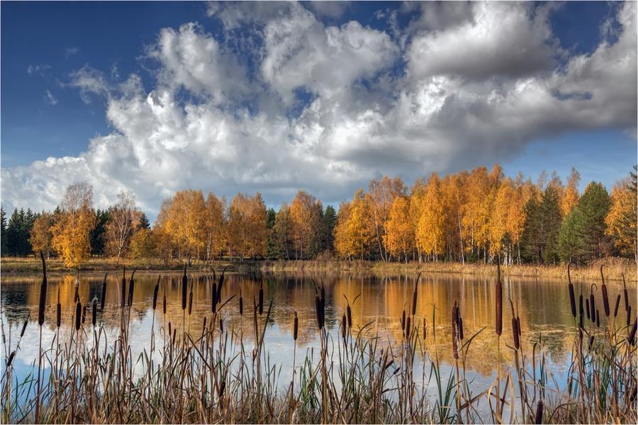 Октябрь завершает сборы к зиме