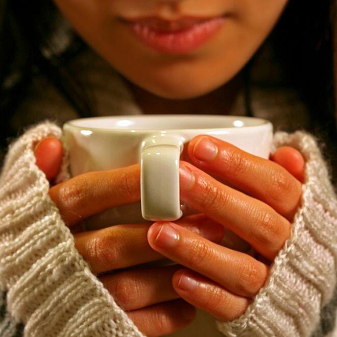 ДОЖДЬ(Брахиколон)