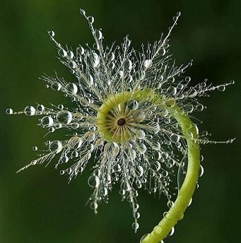 в чём суть..