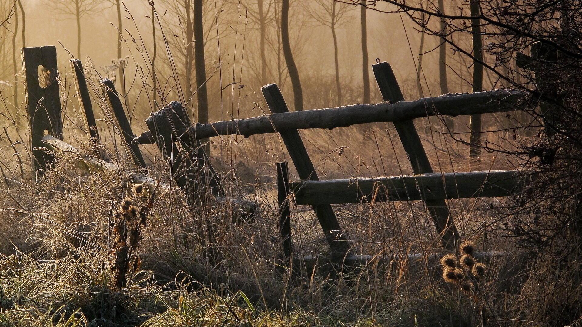 Вожак забор на землю сбросил