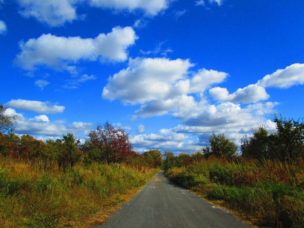 ПЛЫВУТ ОБЛАКА