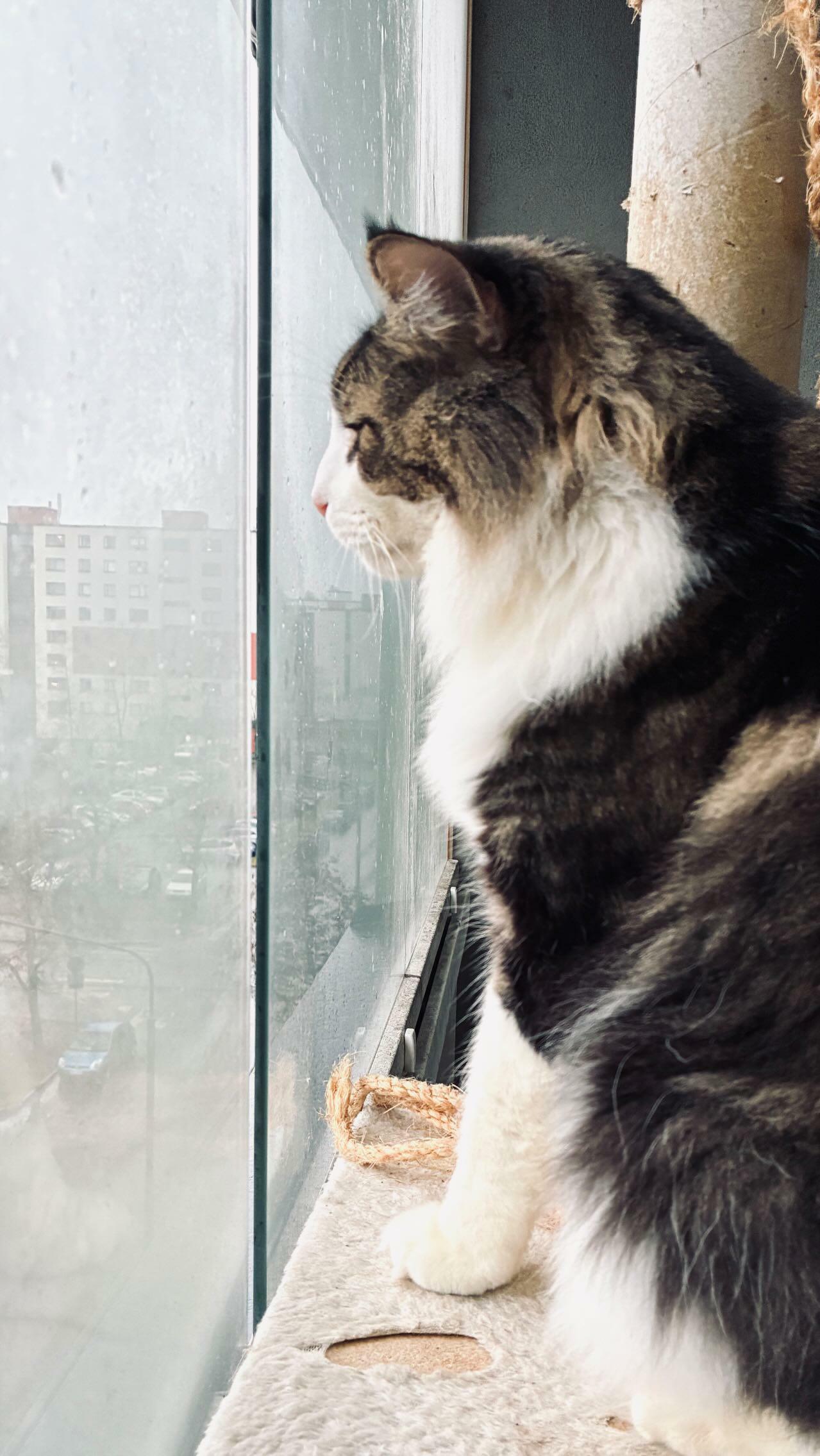 А за окном то дождь, то снег... АБ