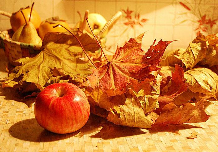 ОСЕННЯЯ ЗАРИСОВКА 2019