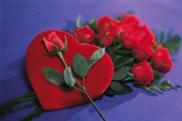 ЦВЕТА   ЛЮБВИ !