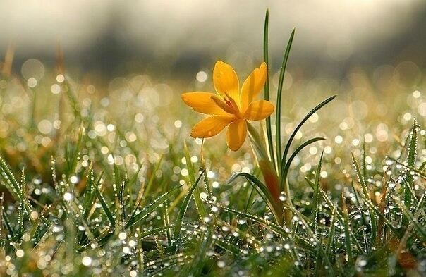 неразрешенных нет проблем