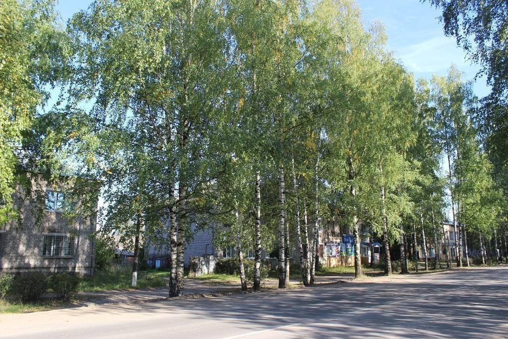 Весьегонск