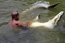 Крокодиловы слёзы