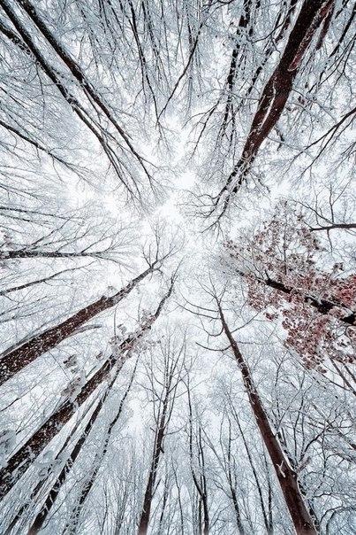 случайные вещи