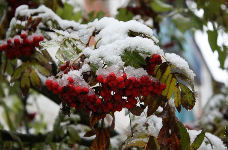 Осенний октябрь