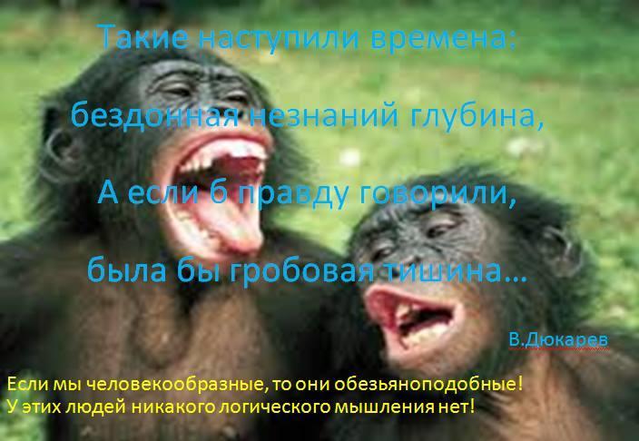 ЗАХОРЕИЛ ДАКТИЛЬ ЯМБУ