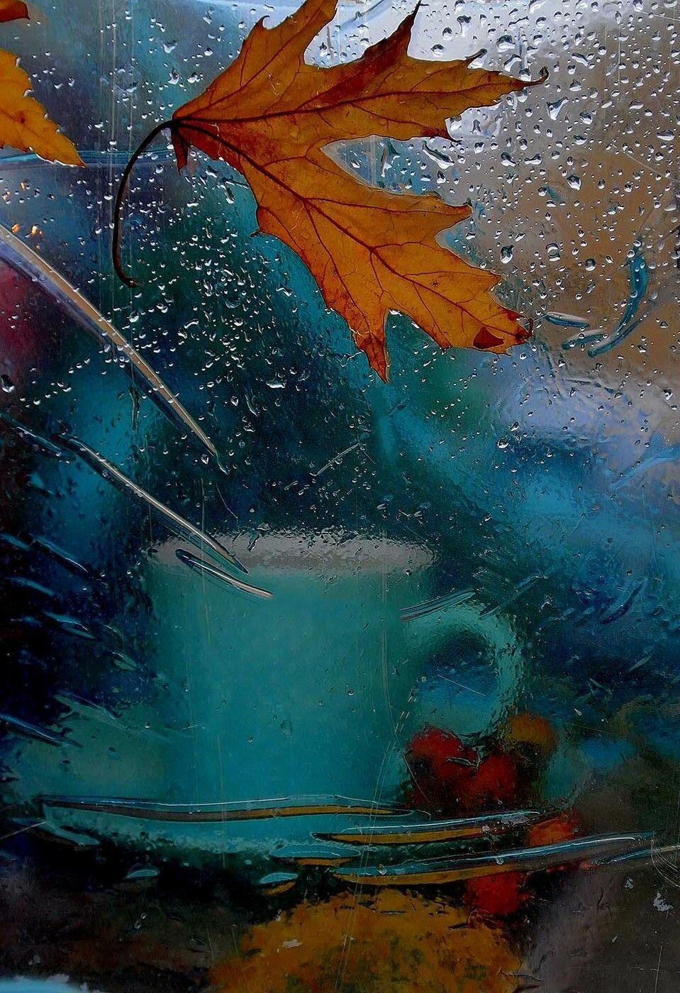 Осень в сером пиджаке