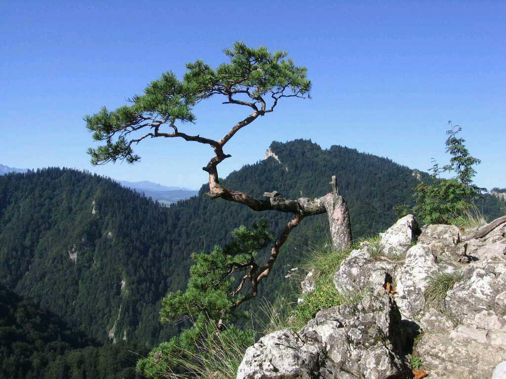 Глупый ( авиль ) - по Притчам