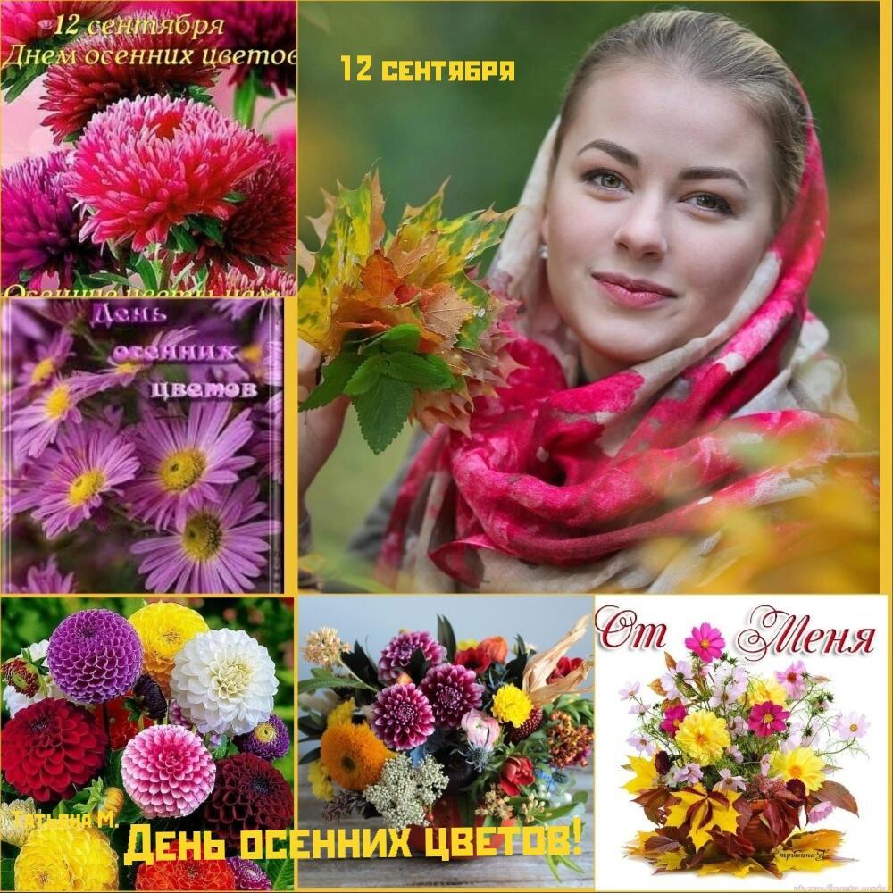 Осенние Цветы