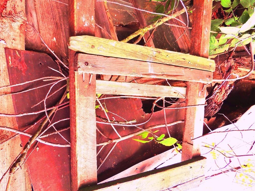 сочнойе сочи или