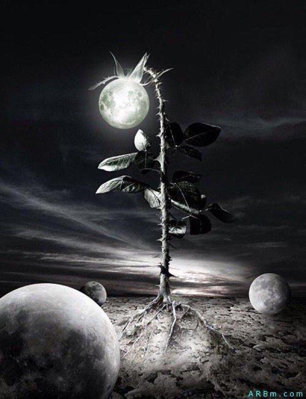 Несовершенство бытия