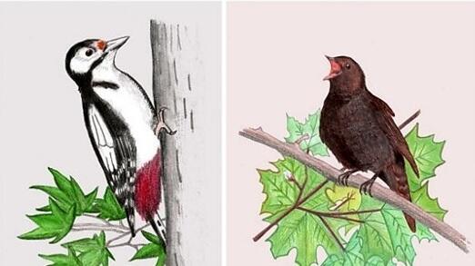 ДЯТЕЛ И СОЛОВЕЙ