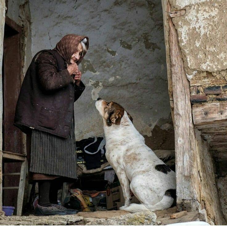 Поймёт её он и без слов