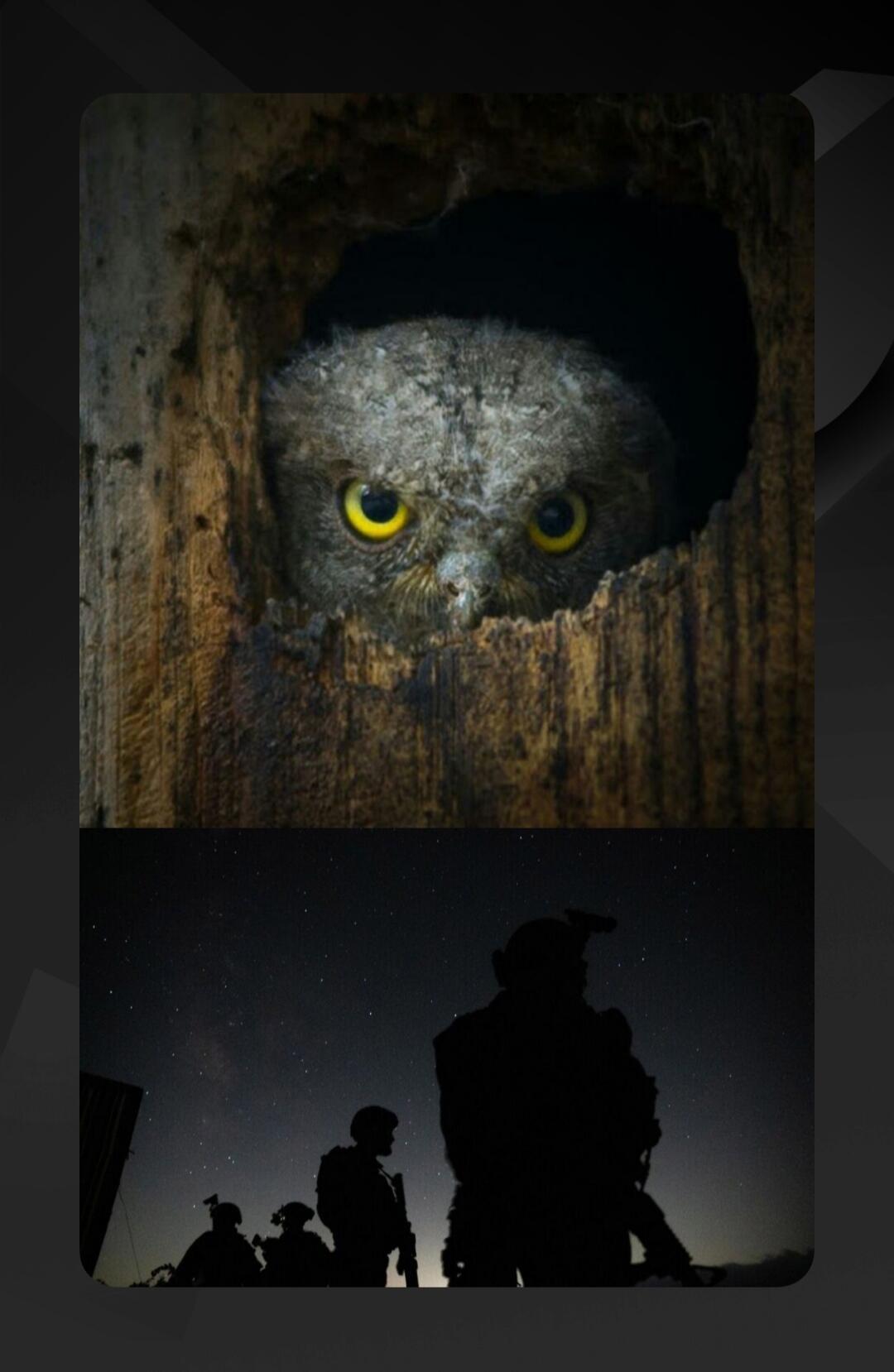 Разведчики