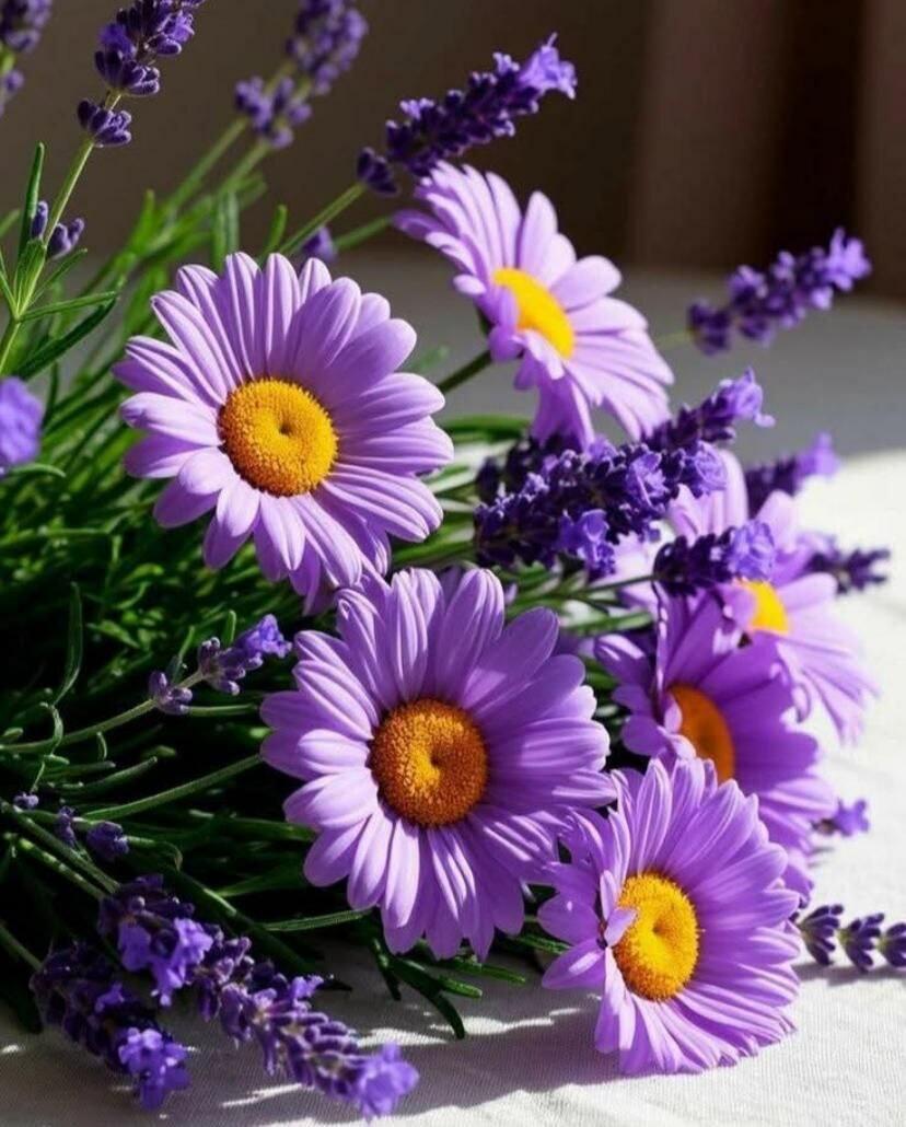 Молитва о больных