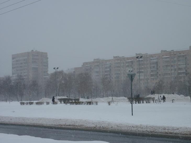 Декабрь вступил в свои права.