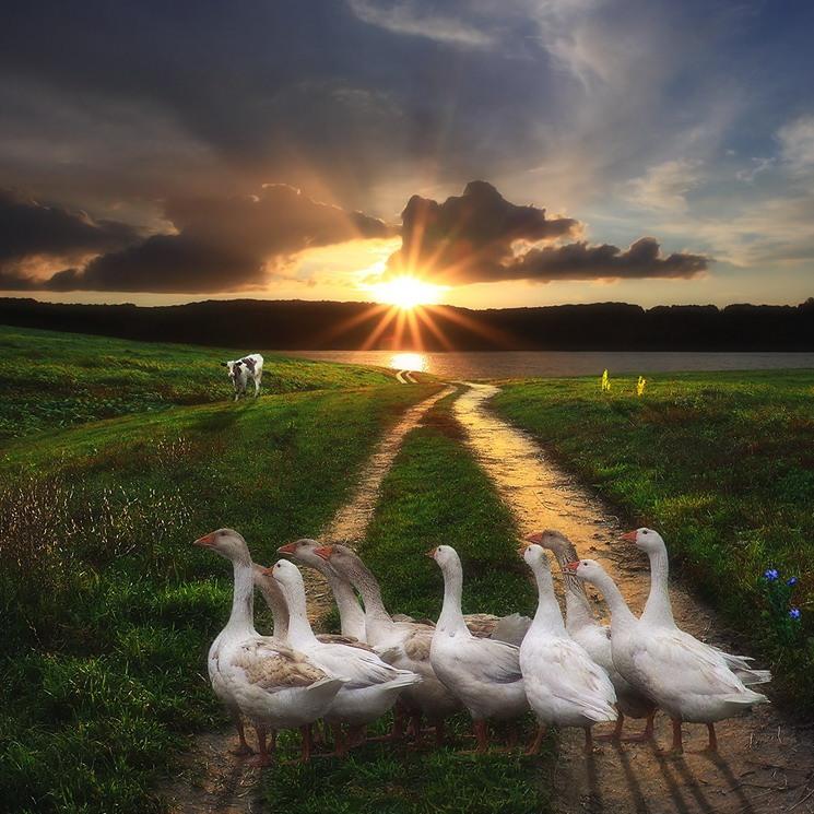 РАССКАЖИ МНЕ О МИРЕ, В КОТОРОМ ЖИВЁШЬ