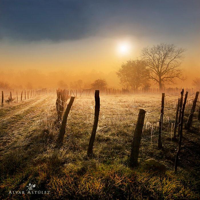 И ЗВУЧИТ В ВЫШИНЕ ПЕРЕЗВОН