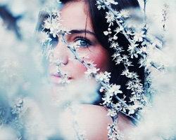 В СТРАНЕ ИЛЛЮЗИЙ