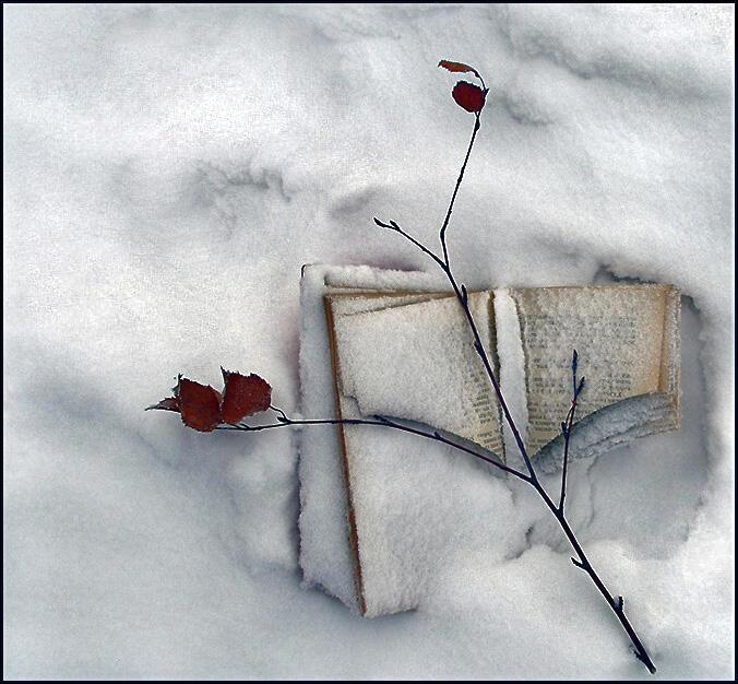 Прощай зима