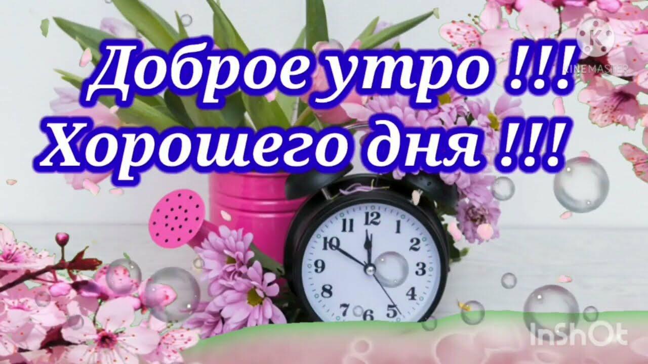 ЕГО ВСЕГДА НЕ ХВАТАЕТ